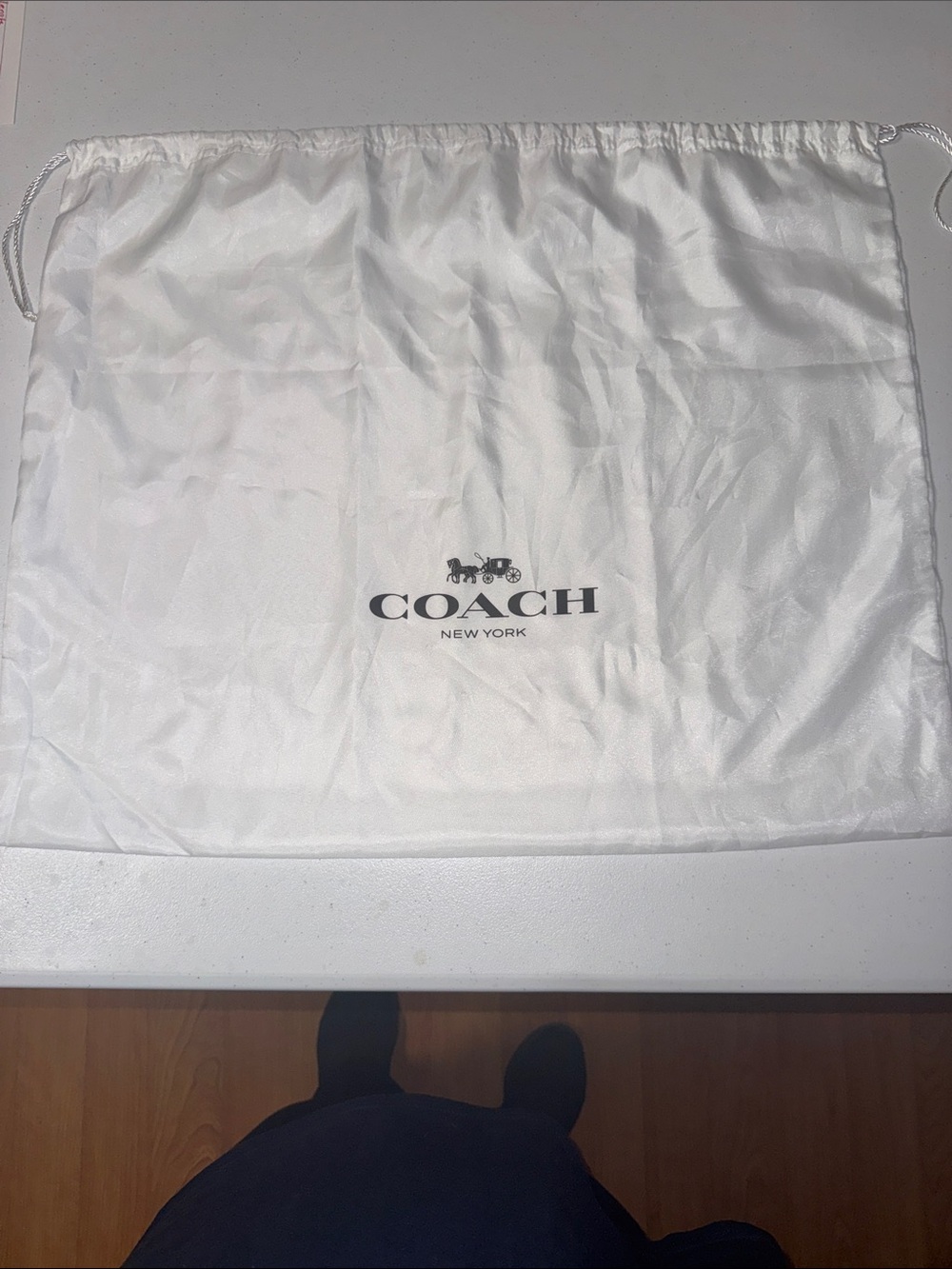 Coach White Satin Drawstring Logo Dust Bag
19 in length and 24 inches wide